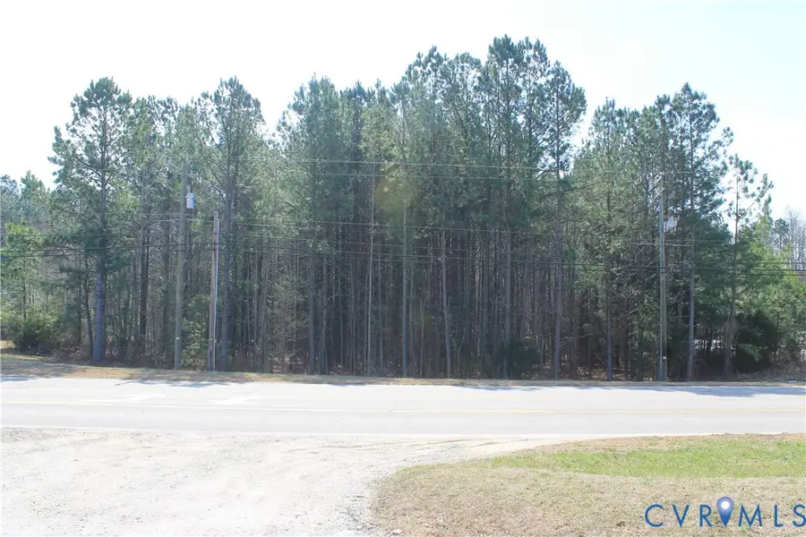 1119 W Danville Street, South Hill, VA 23970 - #3