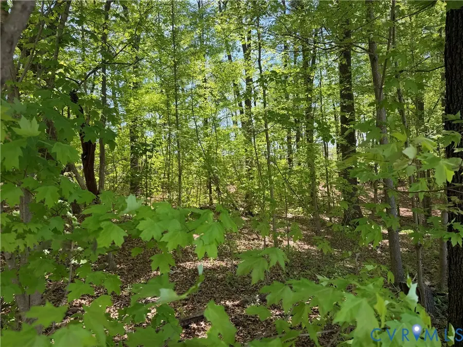 00 S West Ave, Blackstone, VA 23824 - #2