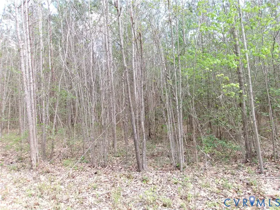 69-(6)-1 Lew Jones Road, Dewitt, VA 23840 - #2