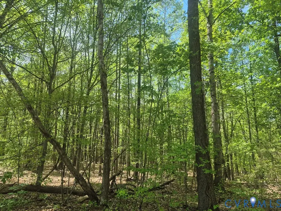 00 Greenfield Drive, South, VA 24553 - #2