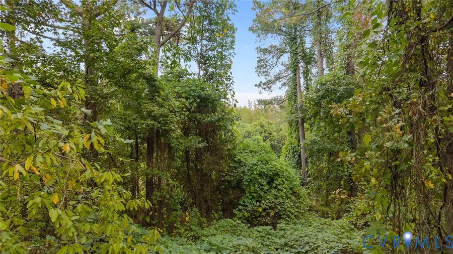 22175 Cool Water Drive, Ruther Glen, VA 22546 - #2