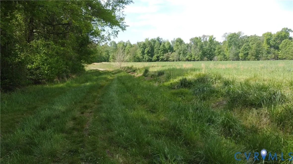151 Acres Namozine Road, Amelia Court House, VA 23002 - #1