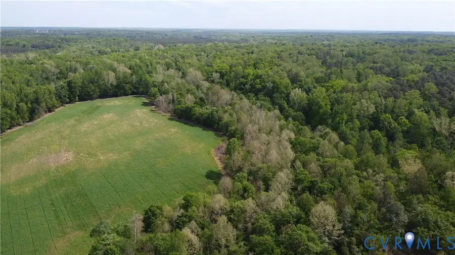 151 Acres Namozine Road, Amelia Court House, VA 23002 - #3