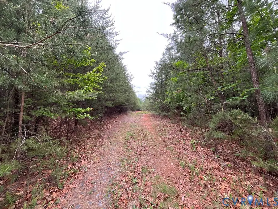 XX Ridge Road, Scottsville, VA 24590 - #3