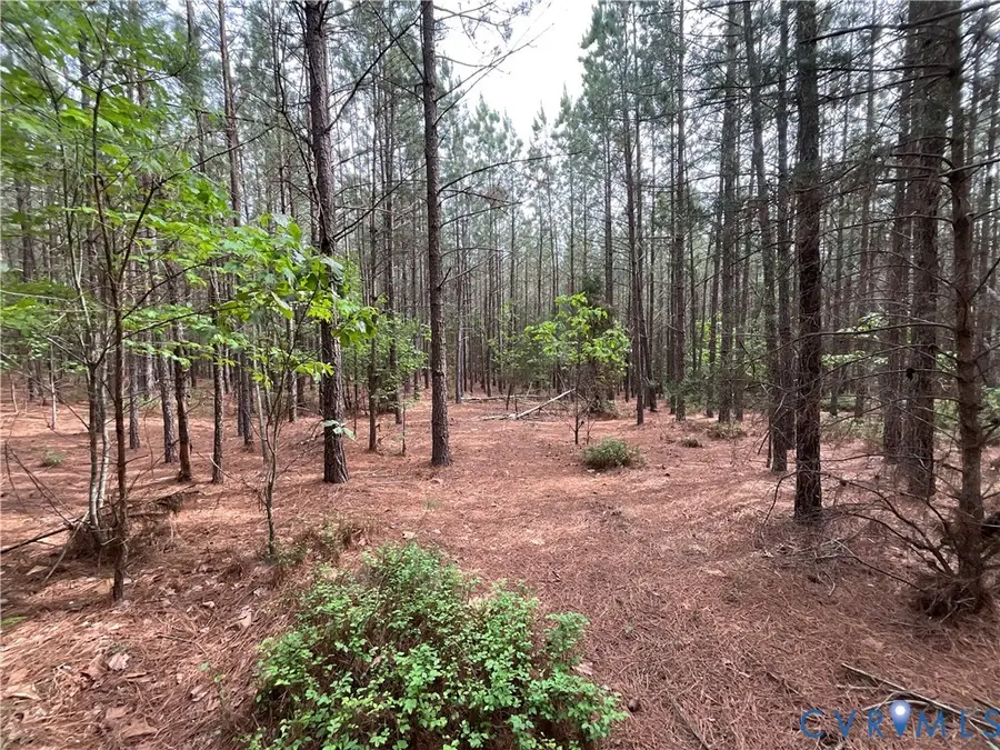 XX Gravel Hill Road, Dillwyn, VA 23936 - #2