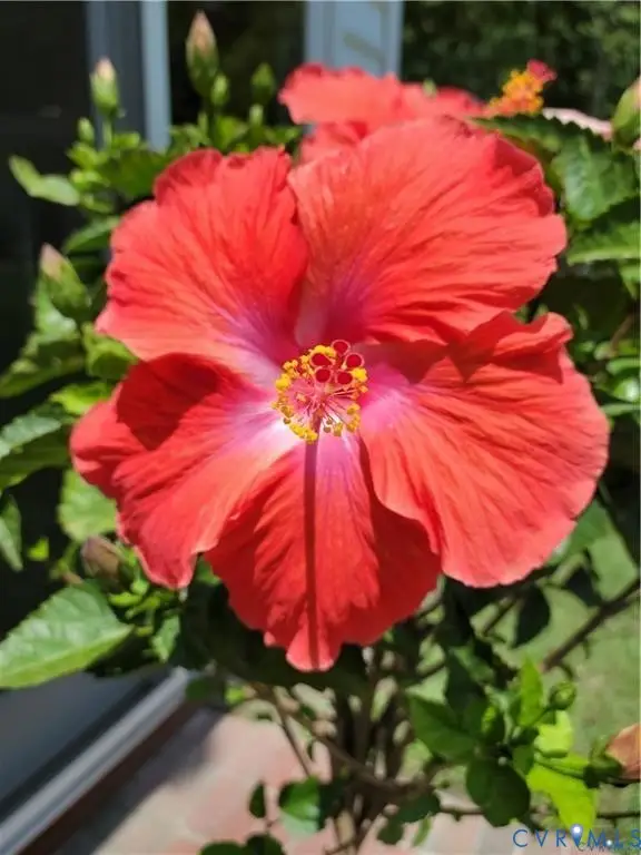 none Shady Pines Lane, Providence Forge, VA 23141 - #2