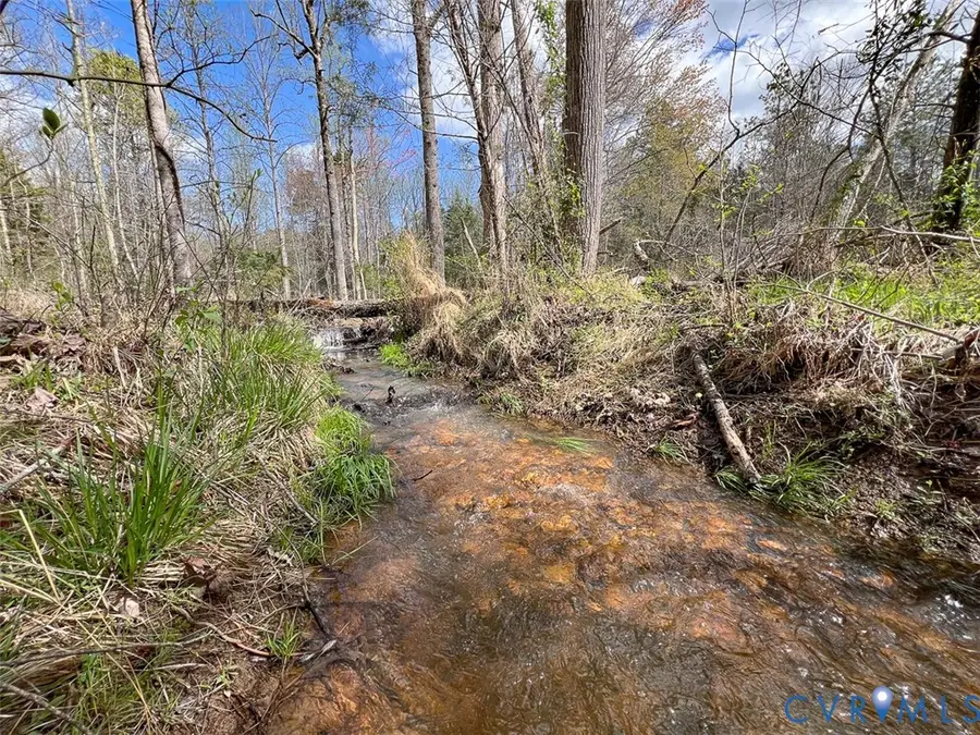 116.32 Acres Gilliam Mill Road, Dillwyn, VA 23936 - #2