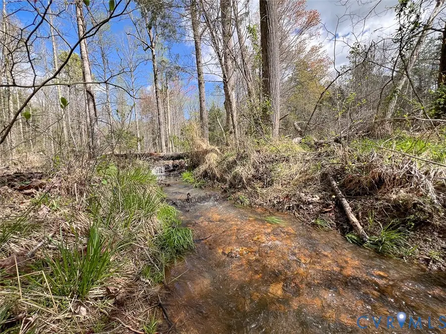 116.32 Acres Gilliam Mill Road, Dillwyn, VA 23936 - #3
