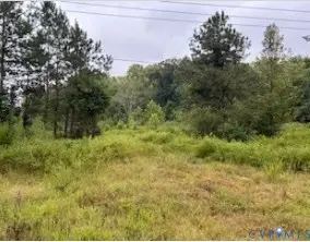1 Rolfe Highway, Dendron, VA 23839 - #1