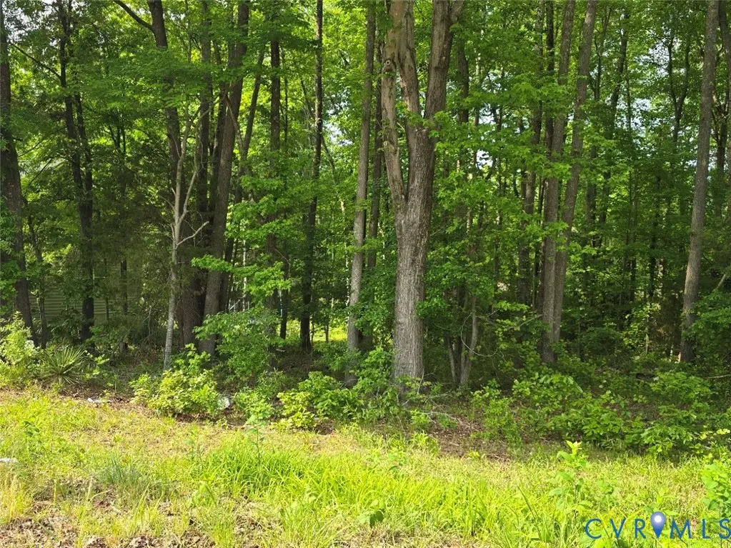 Lots 17 & 18 Church Street, Blackstone, VA 23824 - #1