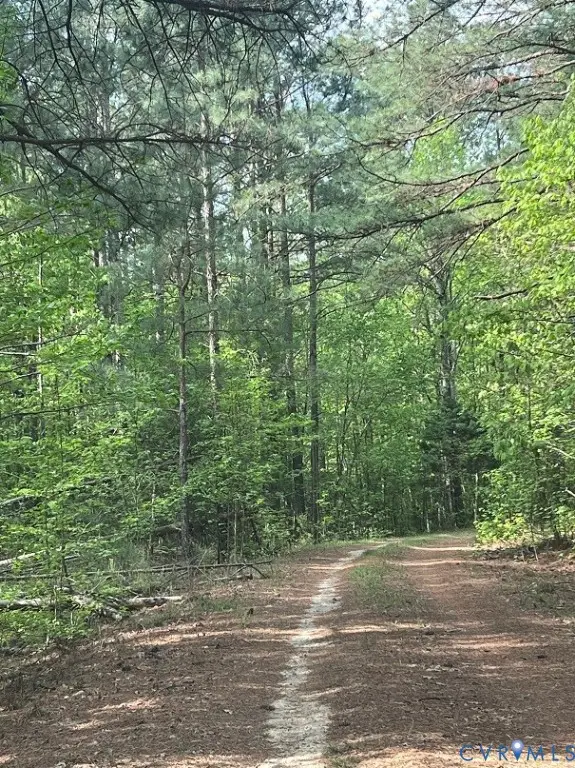 7475 Richmond Road, Amelia Court House, VA 23002 - #2