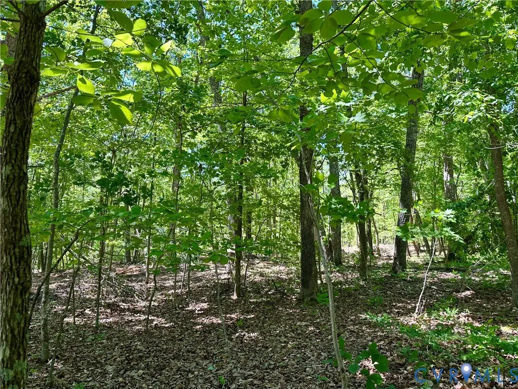 Lot 6 Buffalo Church Rd., Pamplin, VA 23958 - #1