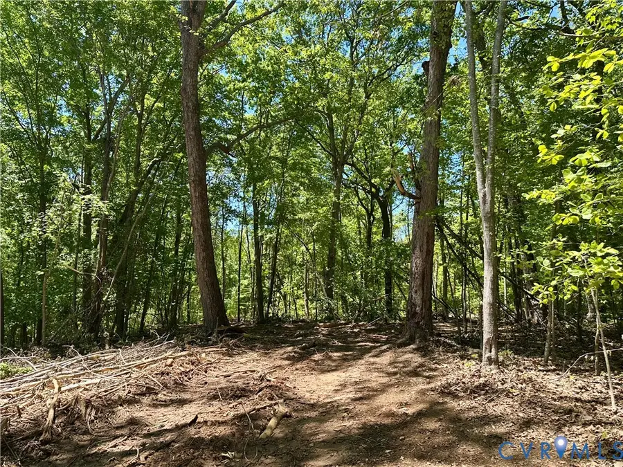 Lot 6 Buffalo Church Rd., Pamplin, VA 23958 - #2