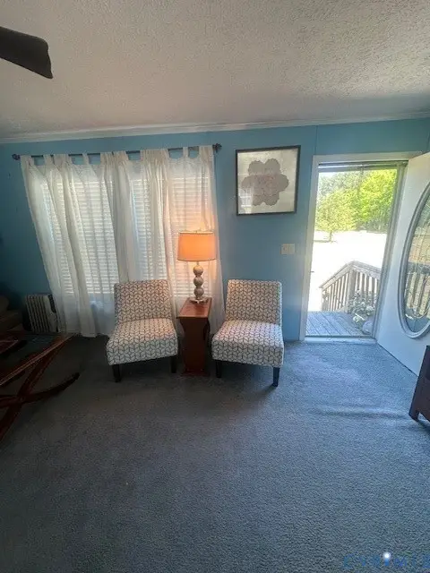 16738 Loco School Road, Yale, VA 23897 - #3