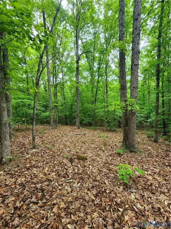 0 Bryants Ford Road, Fork Union, VA 23055