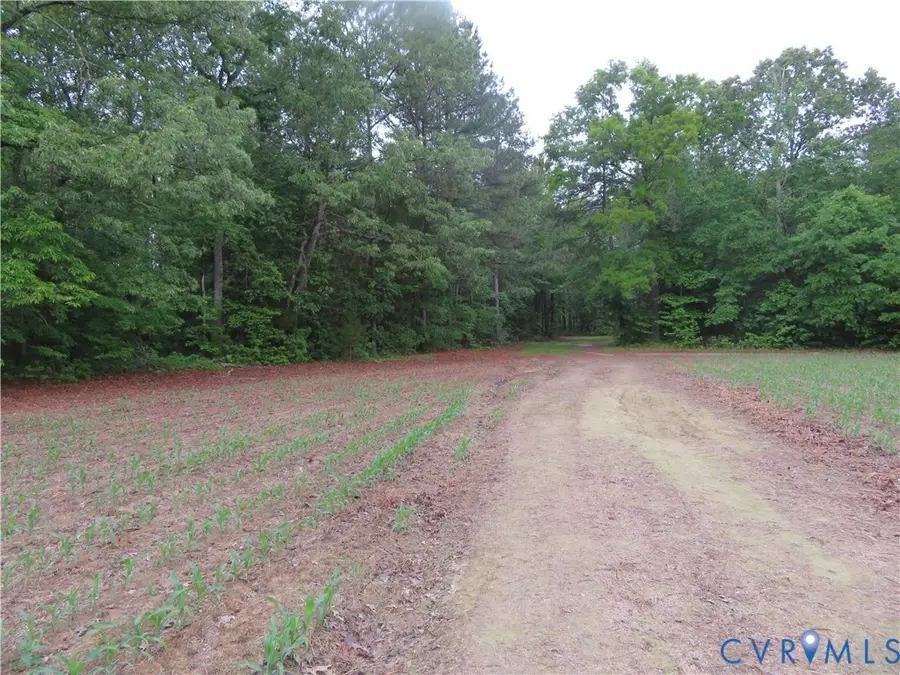 22505 Flatfoot Road, Stony Creek, VA 23882 - #2