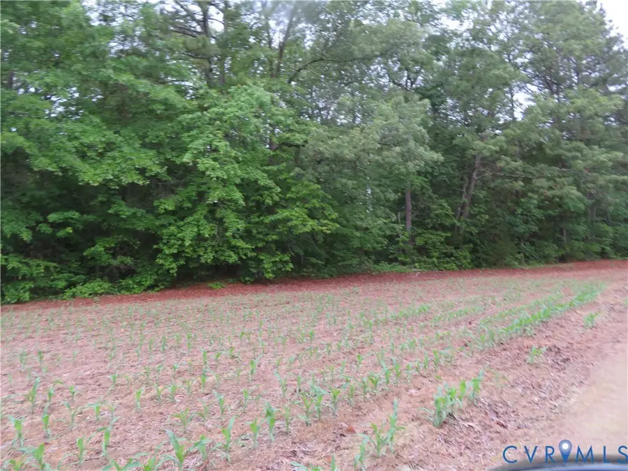 22505 Flatfoot Road, Stony Creek, VA 23882 - #3