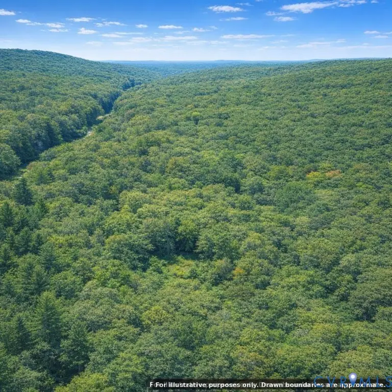n/a Spring Garden Road, Stevensville, VA 23085 - #2