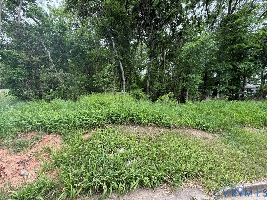 0 N Virginia Street, Farmville, VA 23901 - #3