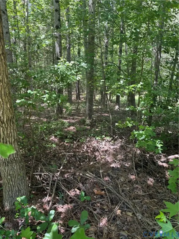 TBD Tbd Monguy Road, Charles City, VA 23030 - #3