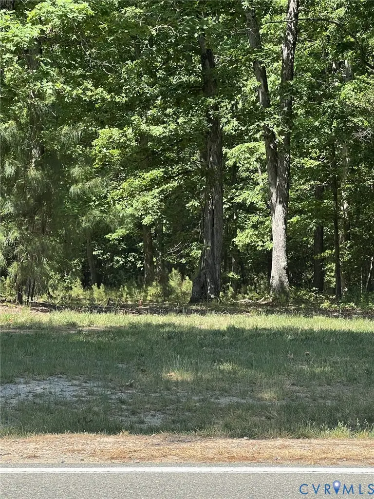8620 N Spring Run Road, Midlothian, VA 23112 - #3