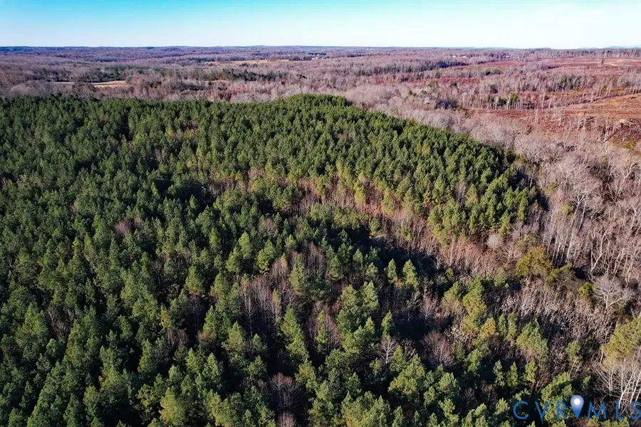00 Plank Road, Dillwyn, VA 23936 - #3