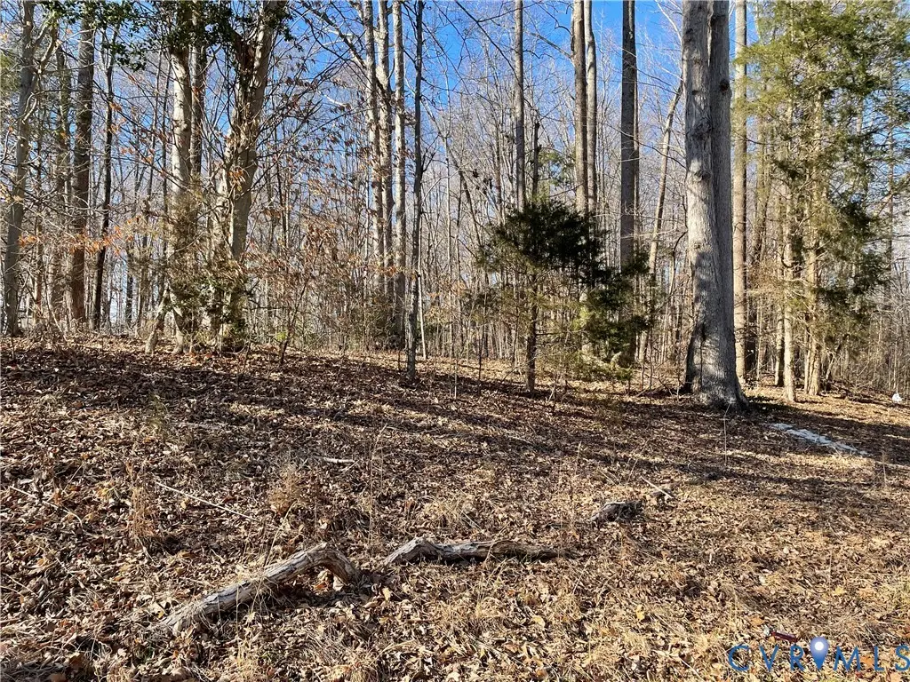 868 Bowling, Ruther Glen, VA 22546 - #1