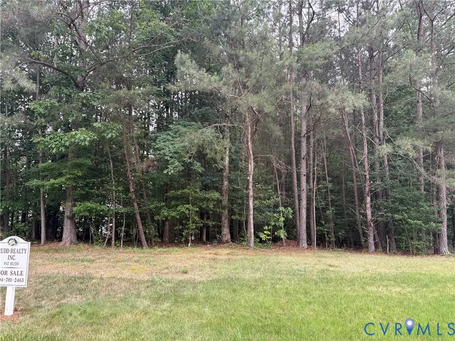 11131 Royal Lane, Providence Forge, VA 23140 - #2