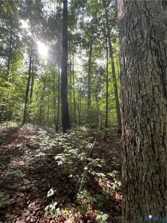 00 Manakintown Ferry Road Drive, Powhatan, VA 23139 - #3