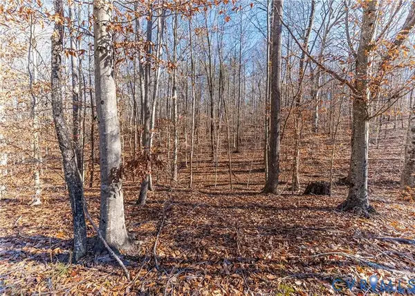 03 Polebridge, Powhatan, VA 23139
