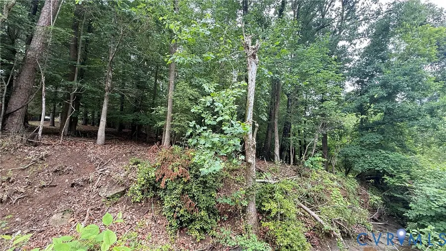 763 Lot Indian Trail, Martinsville, VA 24112 - #2
