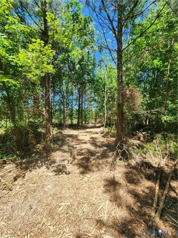 Lot 3 Deep Creek Road, Kents Store, VA 23084