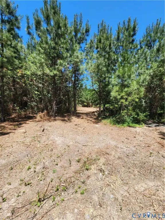 Lot 3 Deep Creek Road, Kents Store, VA 23084 - #2