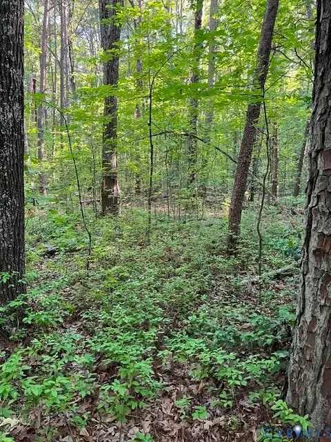 16117 W Patrick Henry Road, Montpelier, VA 23192
