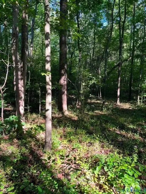 16117 W Patrick Henry Road, Montpelier, VA 23192 - #2