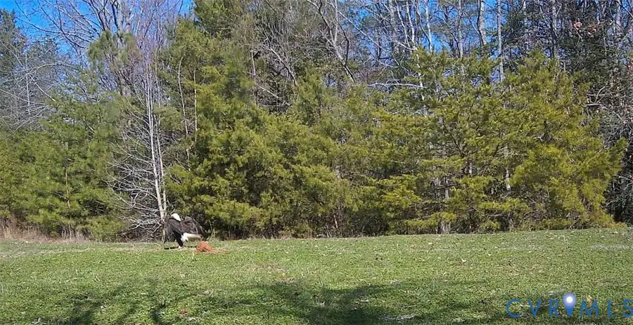 0 and 00 Nesting Road, Jamaica, VA 23079 - #3