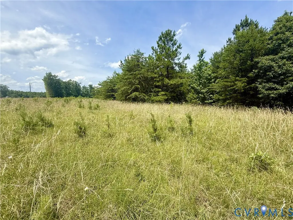 Lot 25 Whispering Wood Road, Meherrin, VA 23954 - #1