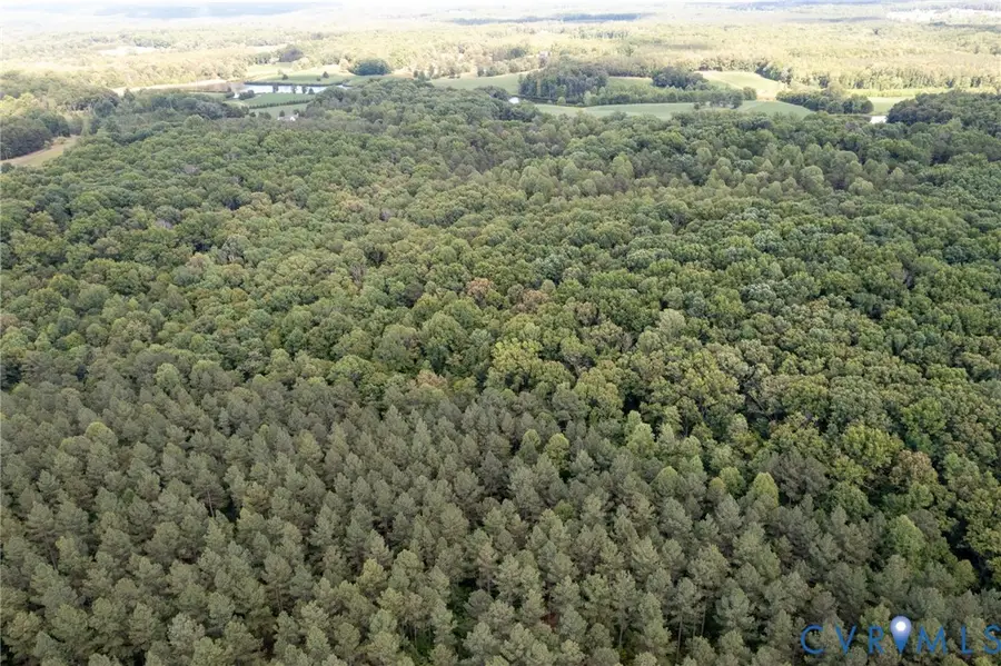 9.38 Acres Haden Martin Road, Lake Monticello, VA 22963 - #2