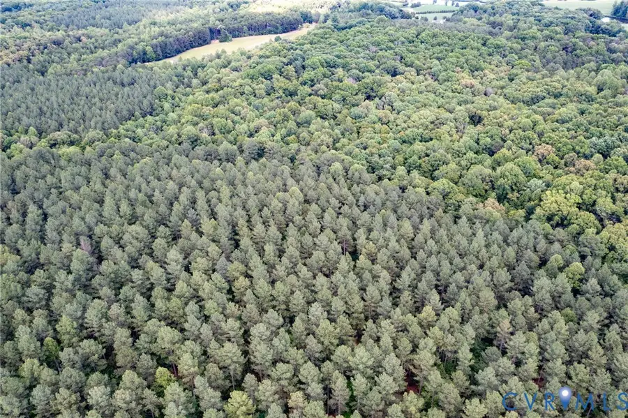 9.38 Acres Haden Martin Road, Lake Monticello, VA 22963 - #3