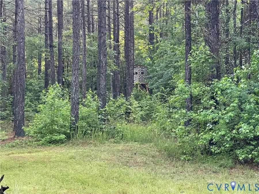 XX Reed Rock Road, Amelia Court House, VA 23002 - #2