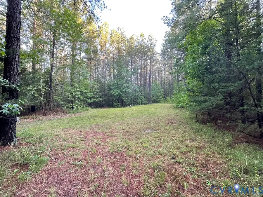 XX Reed Rock Road, Amelia Court House, VA 23002 - #3