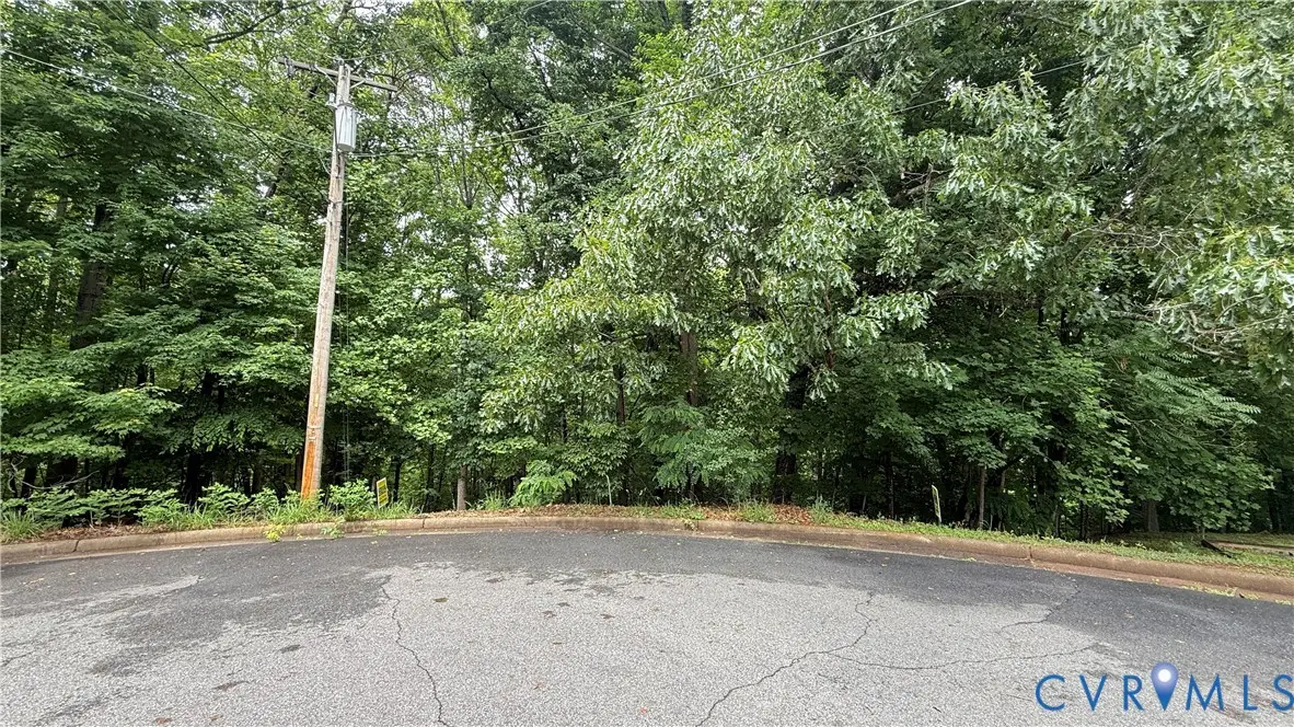 106 lot Dogwood Court, Martinsville, VA 24112 - #1