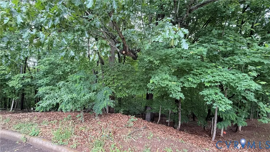 106 lot Dogwood Court, Martinsville, VA 24112 - #2