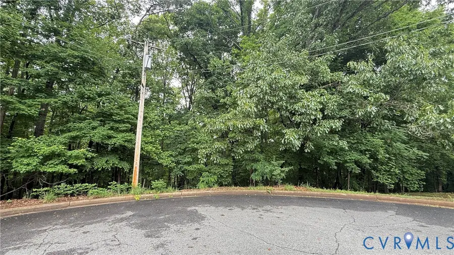 106 lot Dogwood Court, Martinsville, VA 24112 - #3