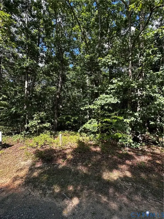 148 Pinehurst Drive, Louisa, VA 22942 - #1