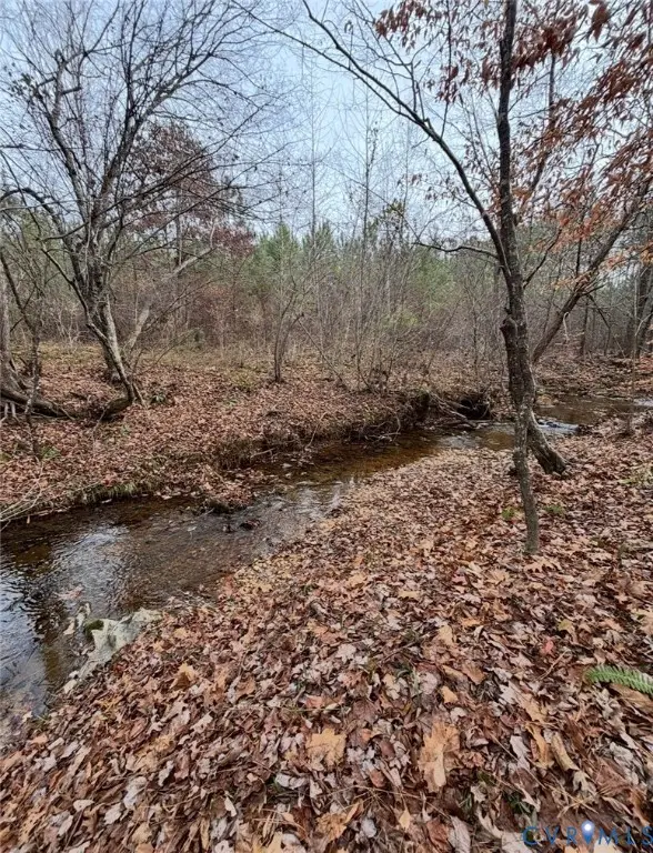 TBD Perkins Mill Road, Dillwyn, VA 23936 - #2