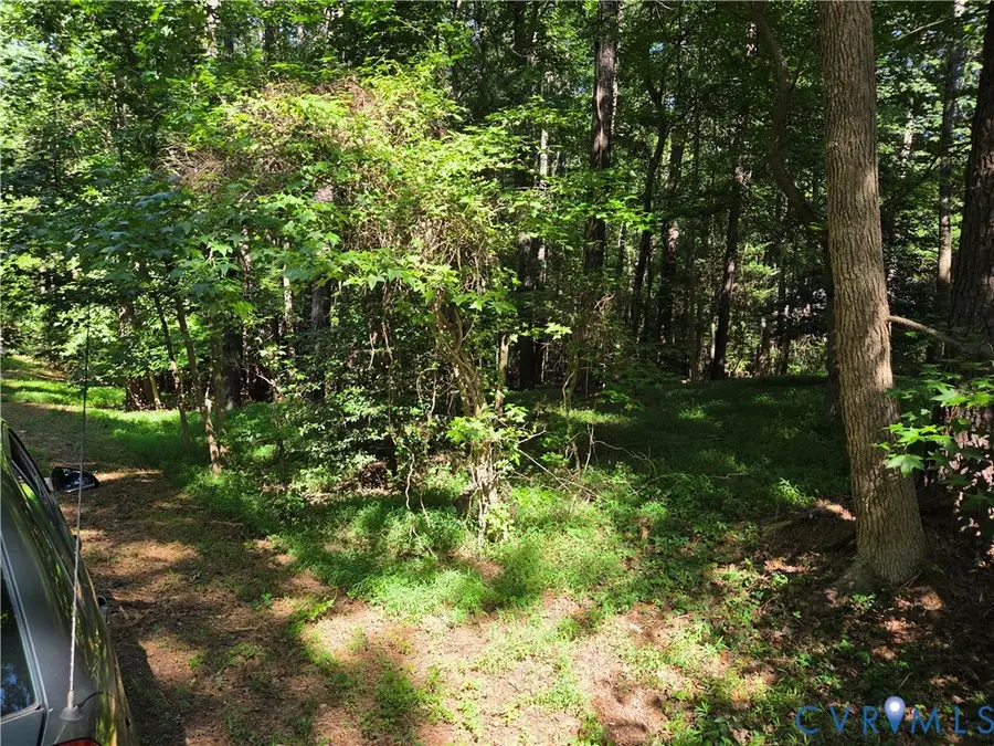 12731 Donegal Drive, Chesterfield, VA 23832 - #2
