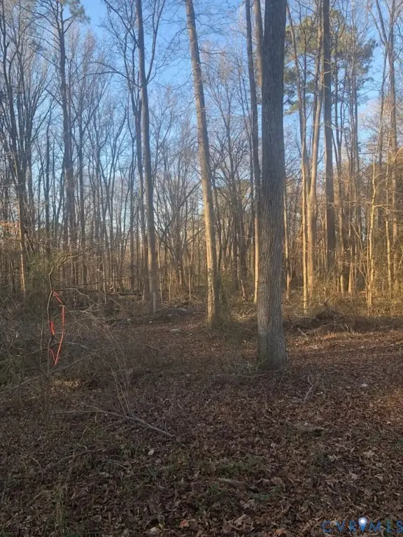Lot 6 Old Cox Road, Blackstone, VA 23824 - #3