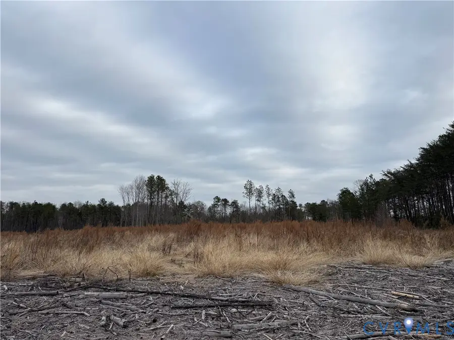 0 Morgan Lane, Laneview, VA 22504 - #3