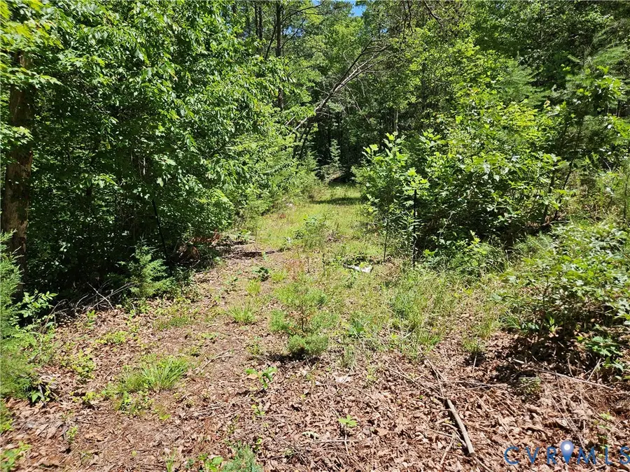 15 Ac Manteo Road, Buckingham, VA 23921 - #2